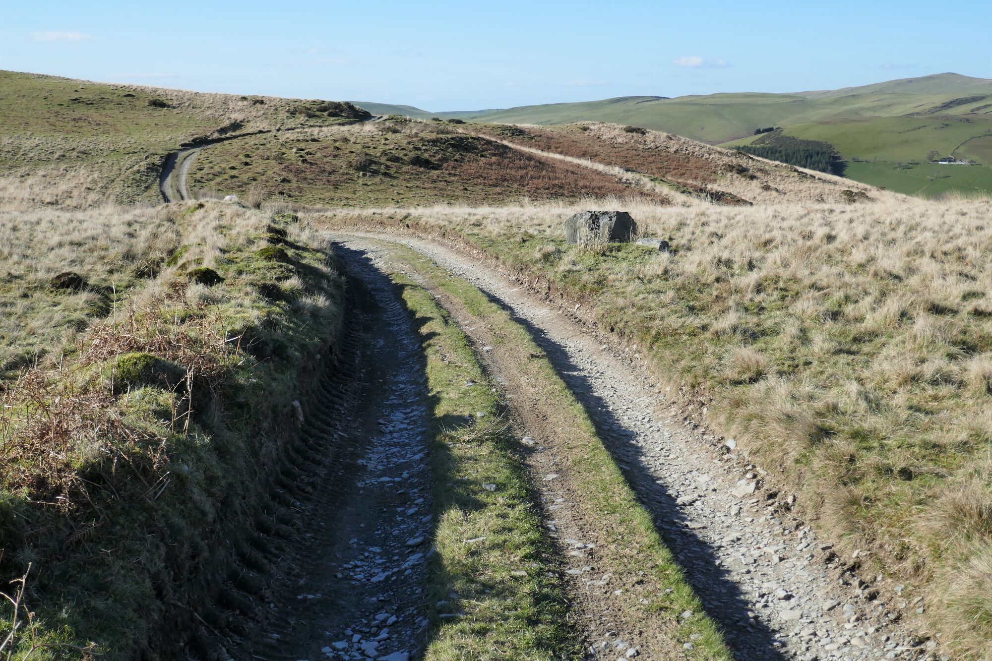 RachelSeabrook.net | Wild Walking | Cwm Cyneiniog and Craig y Pistyll | pic46